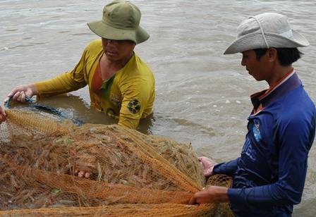 L’exportation de produits aquatiques pourrait atteindre 7,9 milliards de dollars en 2014